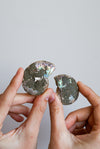 Pareja de Ammonite