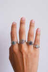 Anillo de Abalón en Plata de Ley