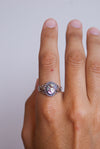 Anillo de Abalón en Plata de Ley