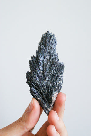Cianita Negra